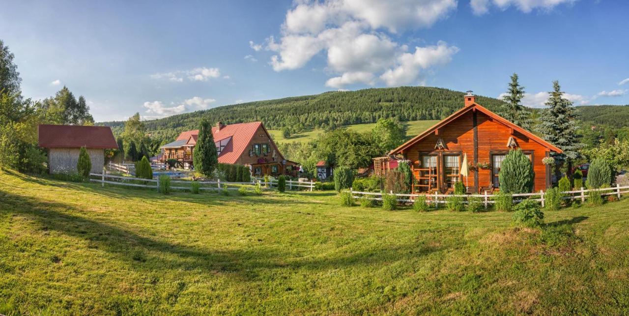 Gleboki Jar Apartman Świeradów-Zdrój Kültér fotó